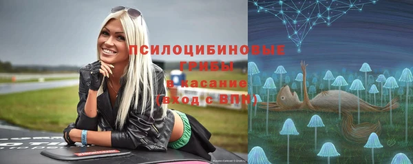 хмурый Карпинск