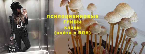 стафф Карталы