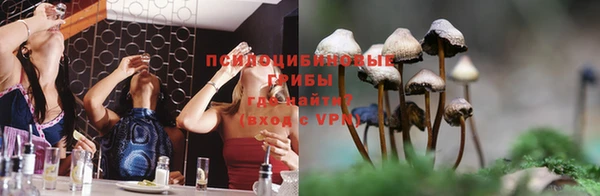 стафф Карталы