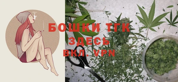 mix Касимов