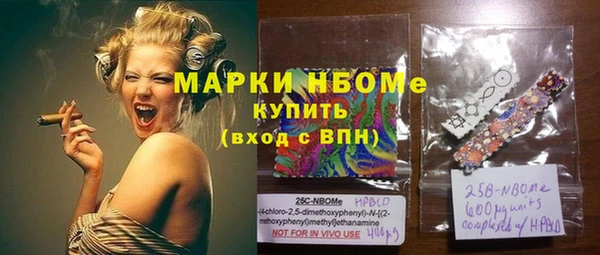 хмурый Карпинск